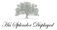 splendor